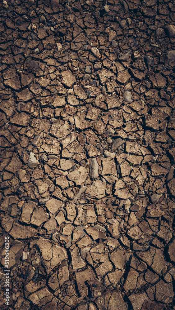 Naklejka premium dry earth