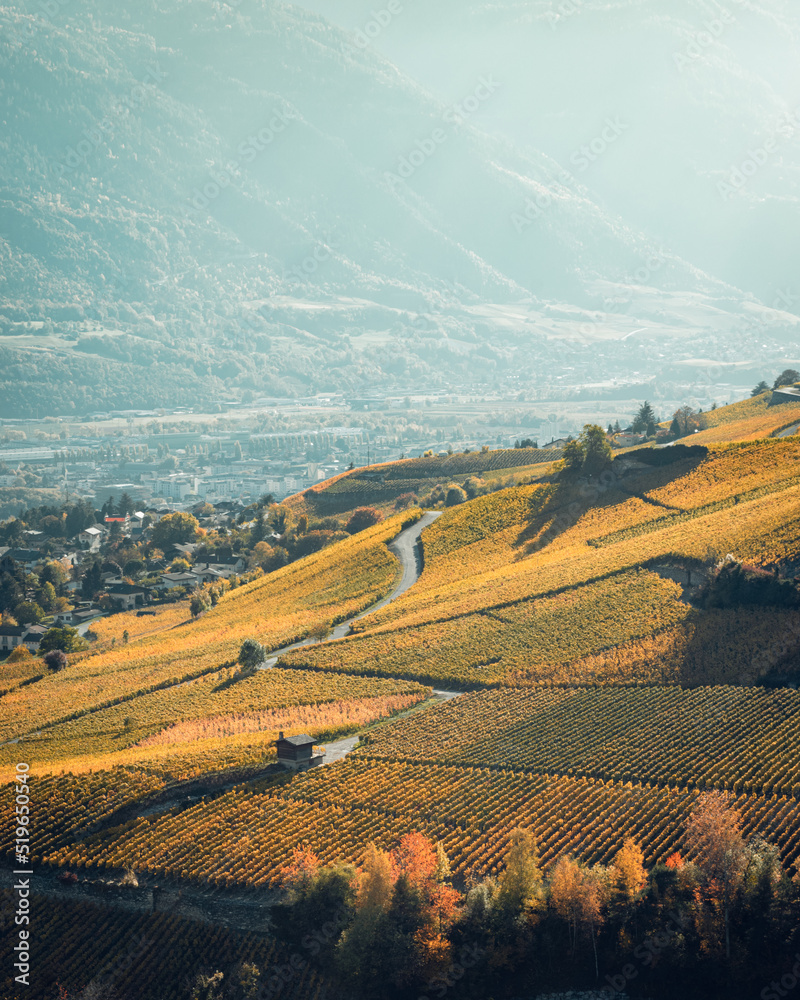 Orange autumn vineyard with hazy background. Valais, Switzerland