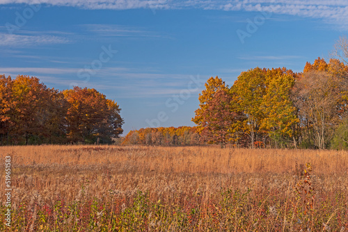 Fall Colors in the Prairie and the Forest
