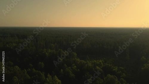 Slow and cinematic flight over european forest landscape view during sunset. Top aerial view of dense spruce and pine tree wood. Flight over dark forest and yellow sunset sky
