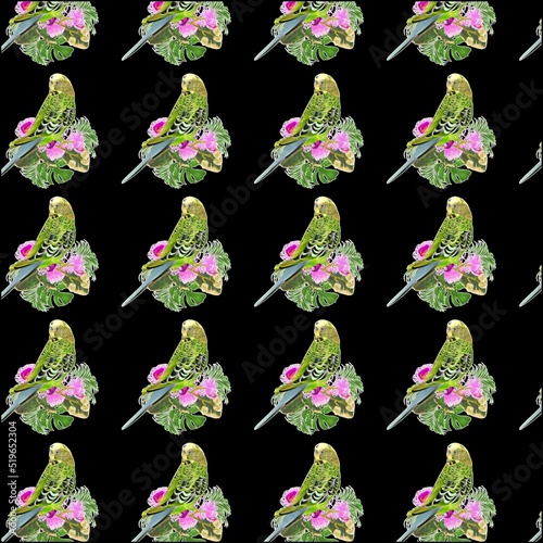 Parakeet on a flower pattern