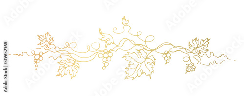 Vine. Vector illustration. Design elements with a twisting golden vine with leaves and berries. Drawing by hand in the style of line art. The frame is round with a vine.