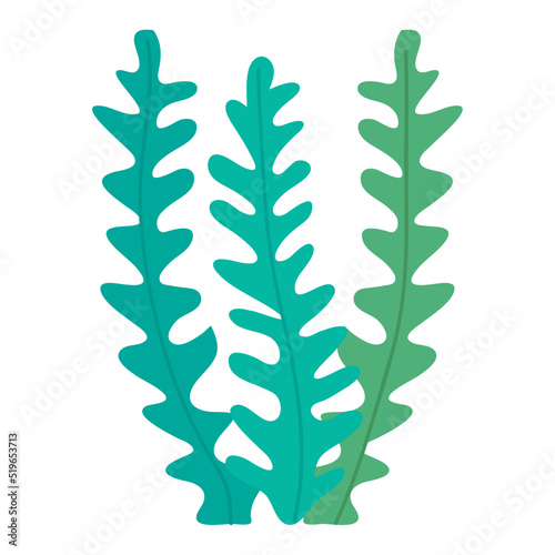 three algaes sealife