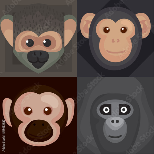 four monkeys wildlife animals