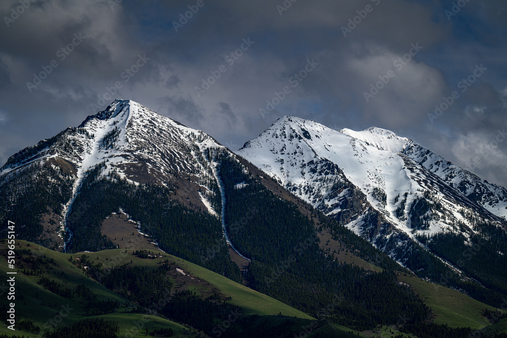 2022-07-26 THE ABSAROKA RANGE WITH SNOW ON THE MOUNTAINS WITH LUSH GREEN ROLLING FOOT HILLS IN PRAY MONTANA