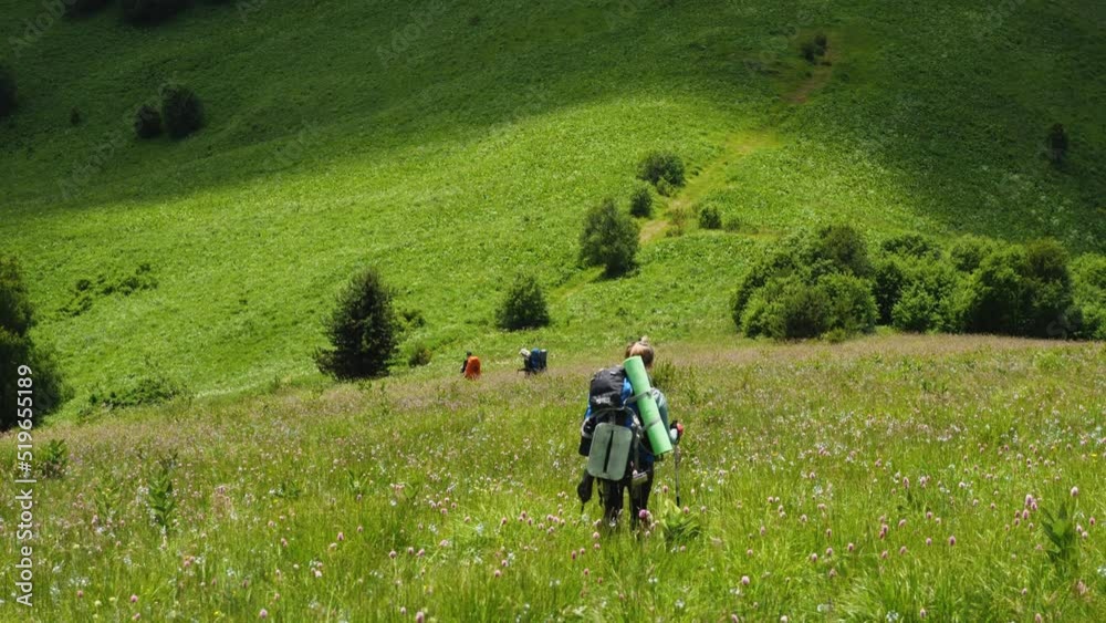 Three hikers man and woman with backpacks and trekking poles descend a grassy slope without a trail. In front of them are alpine meadows. Hiking. Sports recreation. Travel and tourism Three hikers man and woman with backpacks and trekking poles descend a grassy slope without a trail. In front of them are alpine meadows. Hiking. Sports recreation. Travel and tourism