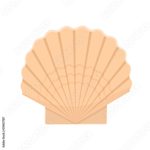 Seashell flat vector illustration isolated on white background
