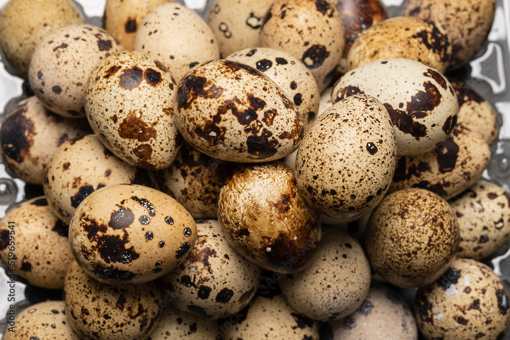 Group of quail eggs as a background. Raw eggs. Group of quail eggs as a background. Raw eggs.