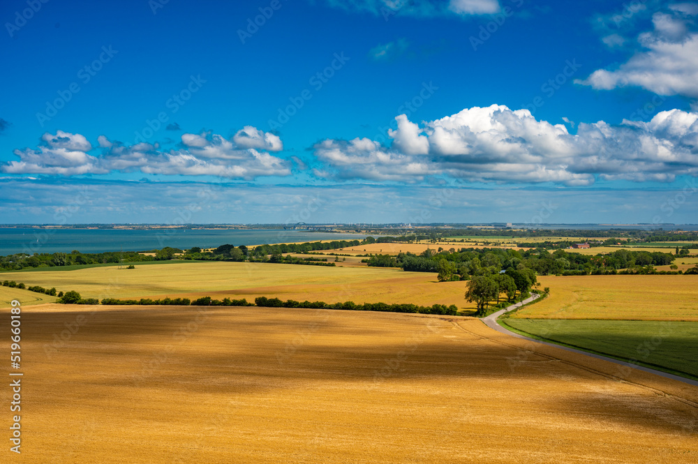 Obraz premium Gerteidefelder im Sommer am Meer