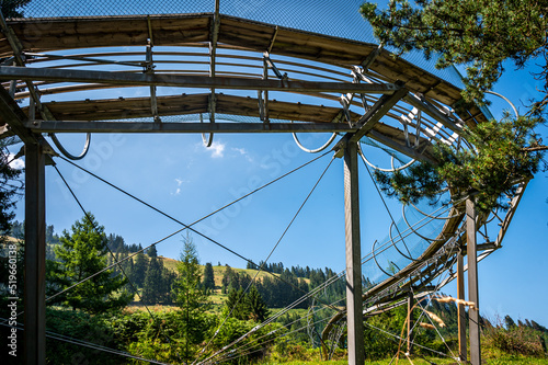 Schilderij op canvas Summer toboggan in Switzerland