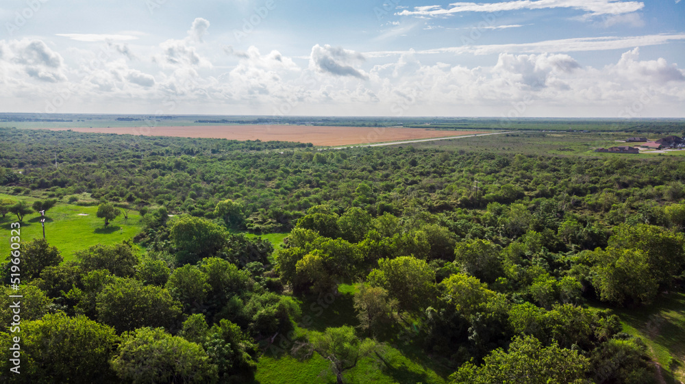 Aerial view of trees and farm land