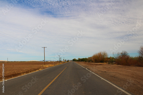 road in the countryside © Ricardo