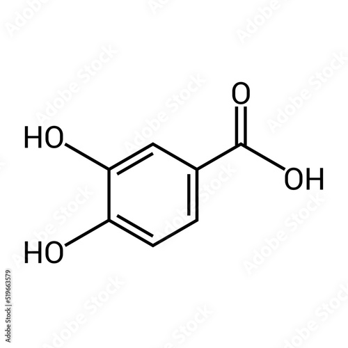 chemical structure of Protocatechuic acid (C7H6O4) photo