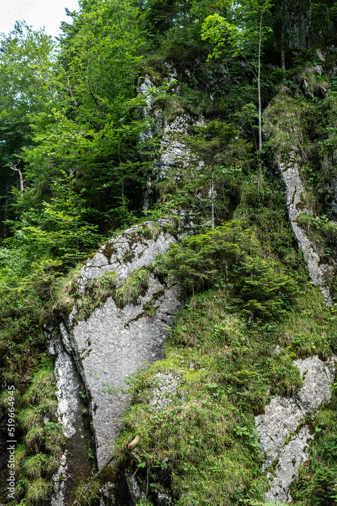 Fototapeta premium Rottach Wasserfall im bayerischen Wald am Tegernsee in Bayern