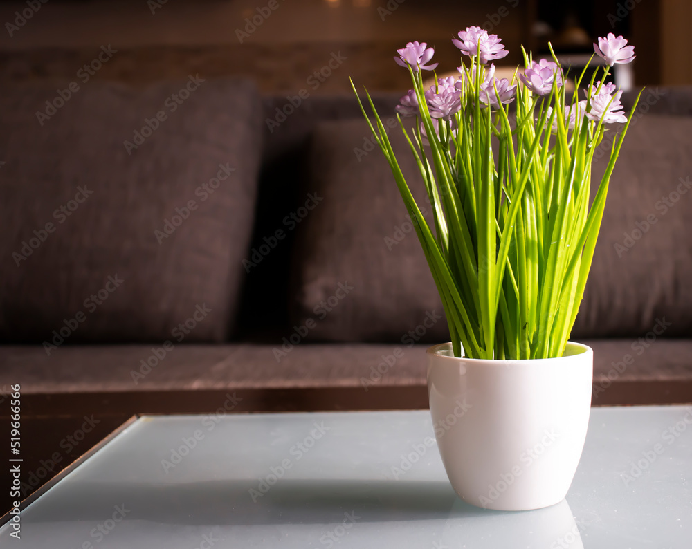 Flowerpot plant in room interior