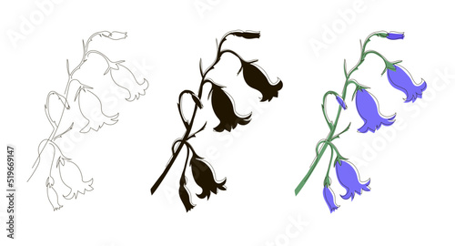 Set of three blooming flowering bellflowers in continuous line style, black silhouette and doodle. Stock vector illustration isolated on white background.