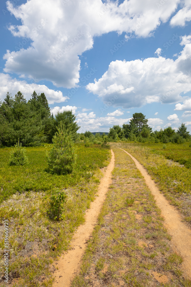 Old Rail line through Algonquin Park field with trees and white clouds in blue summer sky.