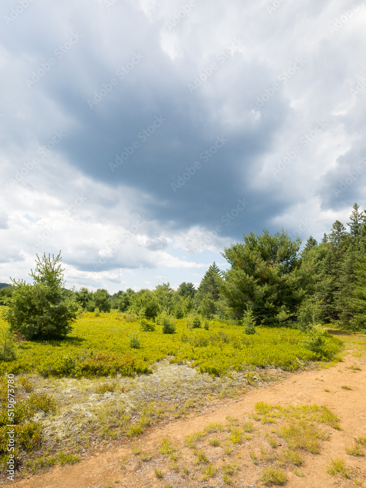 Summer storm clouds gathering over an Algonquin Park field