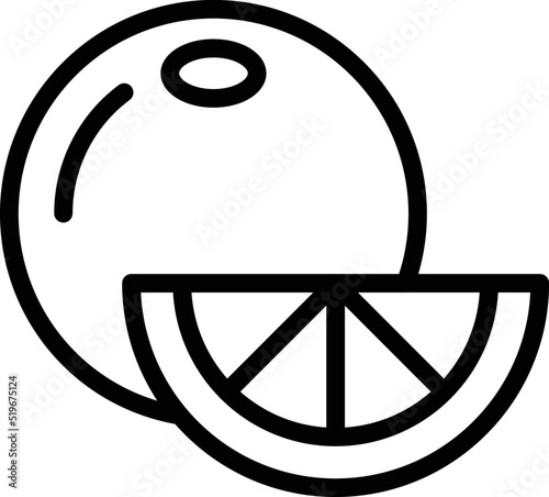 Orange fruit icon outline vector. Paleo diet. Free food
