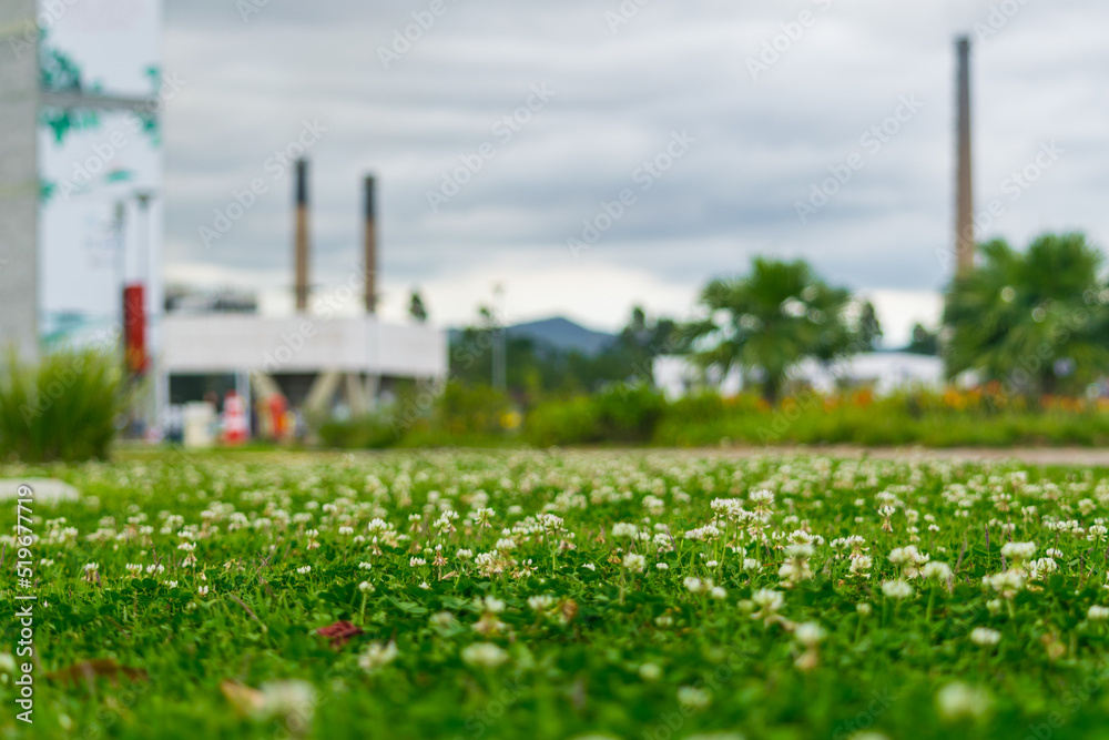 Obraz premium Grass, industry and sky