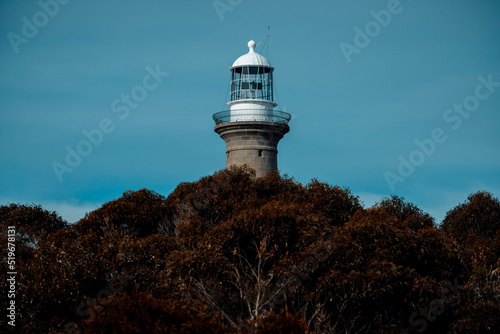 Montague Island Lighthouse Nature Wildlife Reserve New South Wales Australia