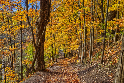 Path by the sloping valley filled with golden leaves from the trees - Fall in Central Ontario, Canada