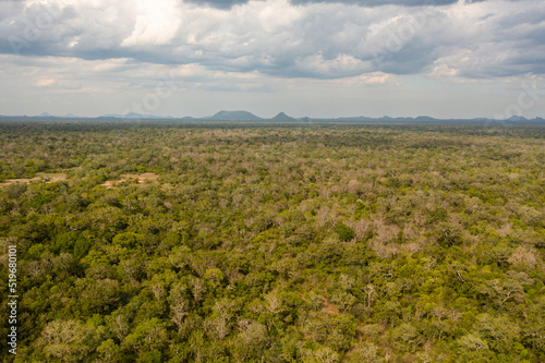 Aerial view of Jungle and rainforest in the National Park. Sri Lanka.