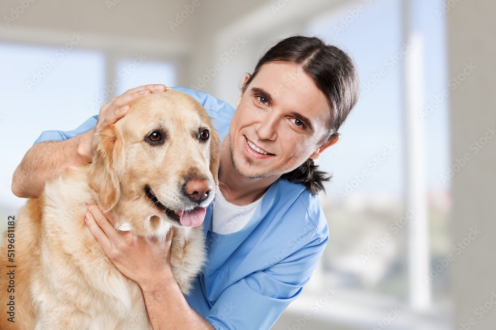 Veterinary near dog's in clinic. Animal treatment