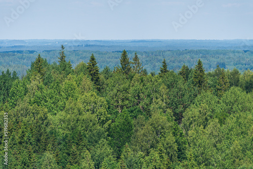 Aerial view of Lielais Liepukalns watching tower, Latvia. photo