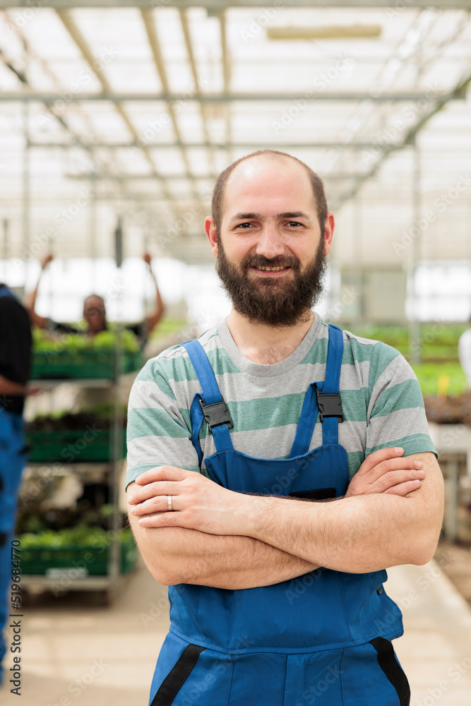 Portrait of smiling man posing with arms crossed in modern greenhouse with crates of fresh lettuce ready for delivery to supermarket. Organic farm worker posing happy in bio vegetables local business.