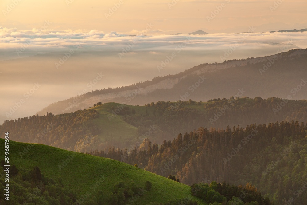 Mountain forest landscape. A mountain slope. Forest in mountains. Mountain green hills landscape.