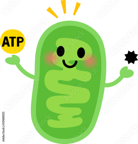 ATPと活性酸素を持つミトコンドリアのキャラクター
