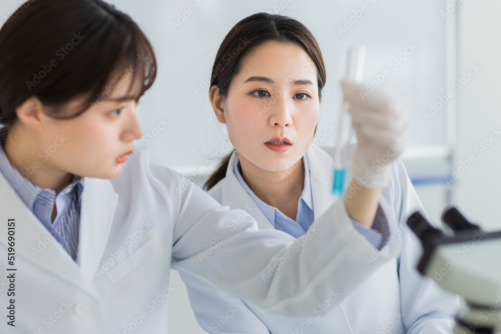 研究をする白衣の女性 研究をする白衣の女性