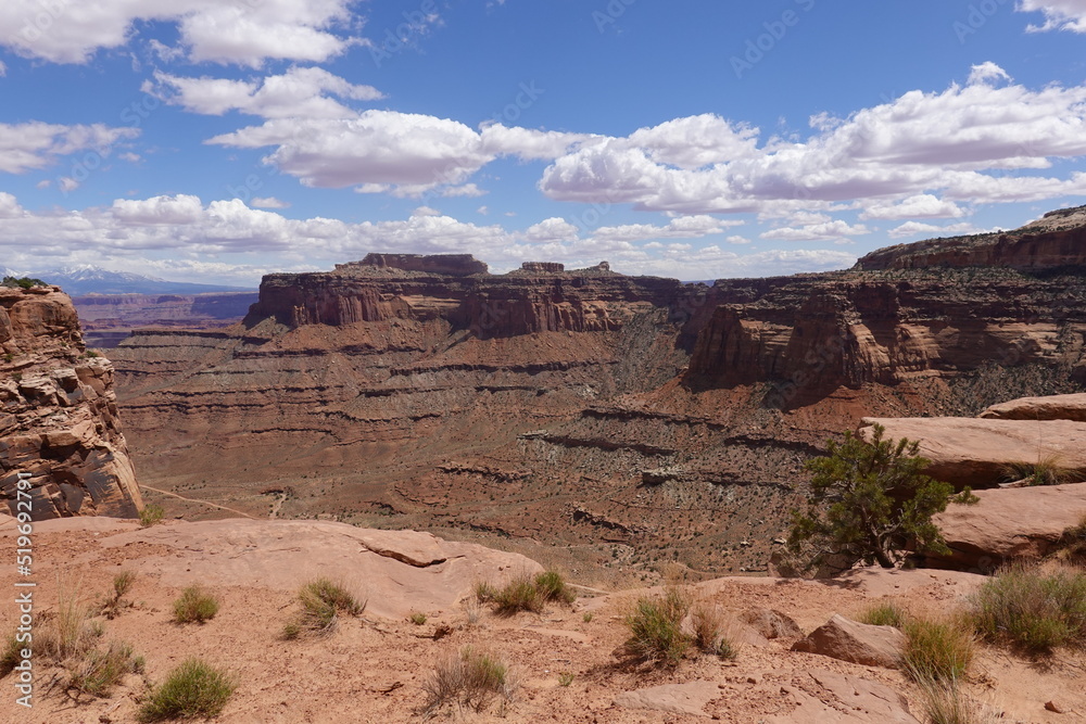Fototapeta premium Canyonlands National Park, Moab, Utah