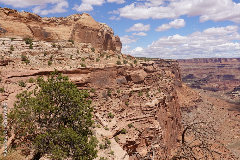 Fototapeta premium Canyonlands National Park, Moab, Utah