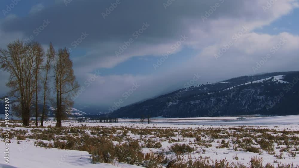 Snowy Yellowstone Landscape Snowy Yellowstone Landscape