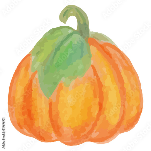 Pumpkin in watercolor style, vector illustration drawn by hand
