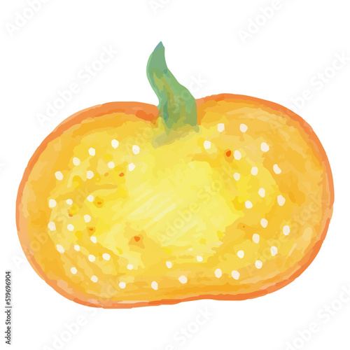 Pumpkin in watercolor style, vector illustration drawn by hand
