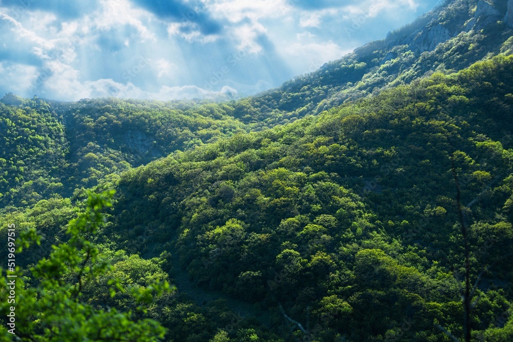 Mountain the green hills. Beautiful mountain hills. Green mountain hills landscape. Mountain landscape
