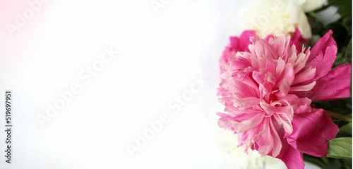 White and pink peonies on a white background. A festive summer bouquet. Background for a greeting card.