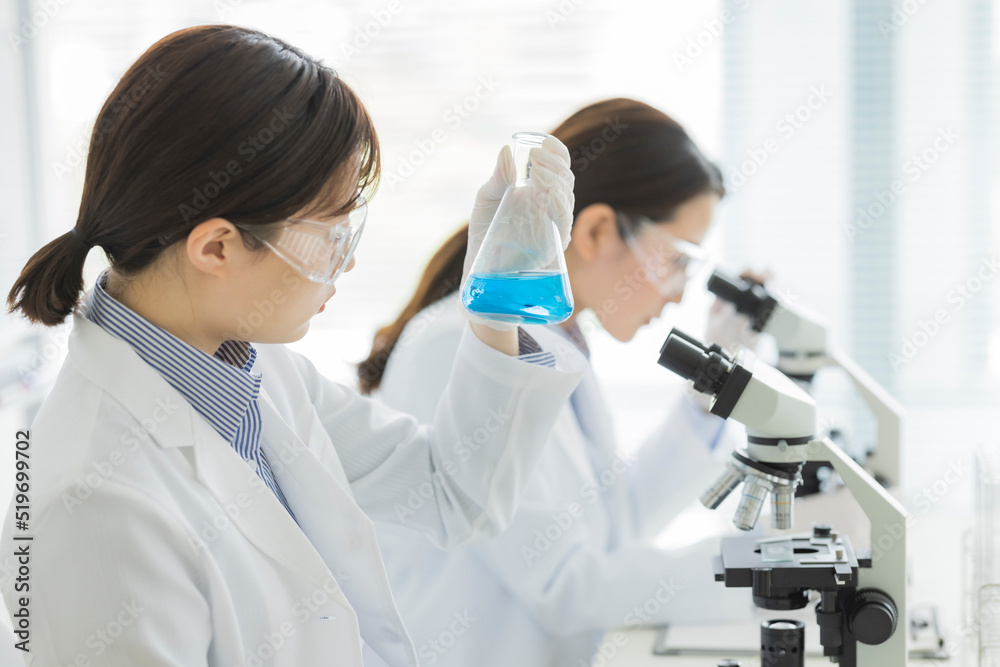 研究をする白衣の女性 研究をする白衣の女性