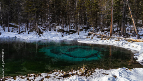 Amazing ice-free geyser lake in the winter forest. Through the clear turquoise water, circles of blue clay on the bottom are visible. Snow and dry grass on the shore. Altai