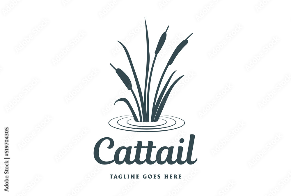 Simple Minimalist Cattail Reed Grass for Water Creek River Lake Logo Design Vector - obrazy, fototapety, plakaty 