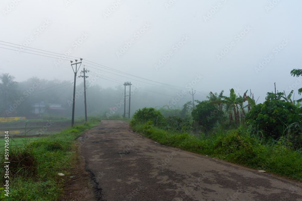 Foggy morning