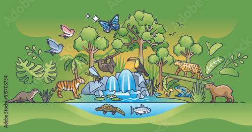 Jungle landscape as rainforest habitat landform and biome outline concept. Green and lush foliage with fauna and flora biodiversity vector illustration. Forest with tree growth and botany vegetation.