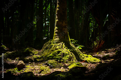 Naturaleza Bella
