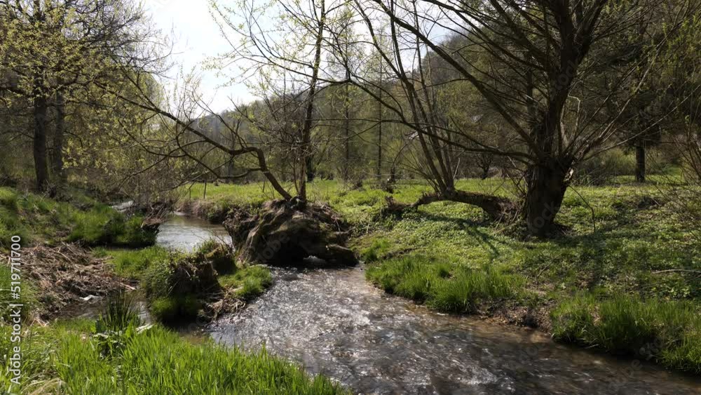 The Prondik River in the Ojcowska Valley near Krakow (Poland). The Prondik River in the Ojcowska Valley near Krakow (Poland).
