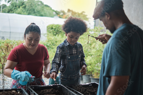 African American farmer family teaches son to prepare bio-fertilizer together by earthworm in the soil, biology and nature ecology learning, organic gardener hobby, childhood countryside agriculture. © tigercat_lpg