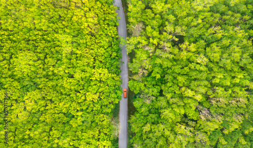Aerial view of orange car driving through the beautiful green forest on the country road. Ecosystem, environment and travel concept