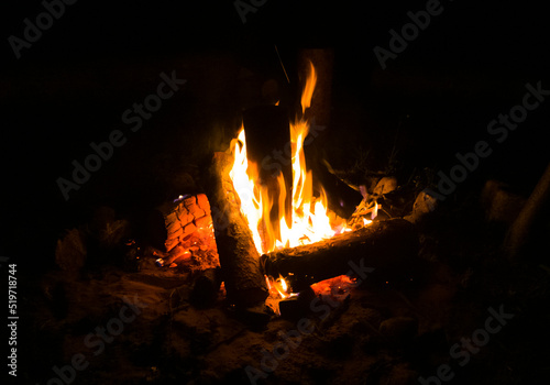 Fire bonfire flames with firewood at night in the forest